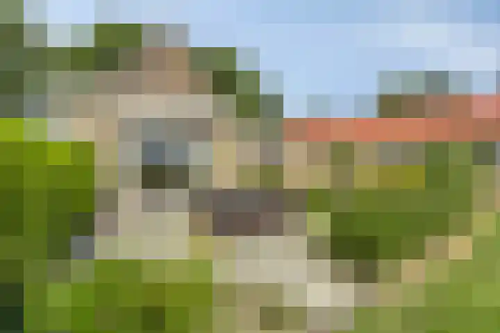Streek 75 Sintjohannesga thumbnail 43