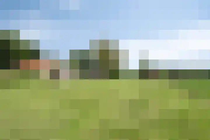Streek 75 Sintjohannesga thumbnail 45