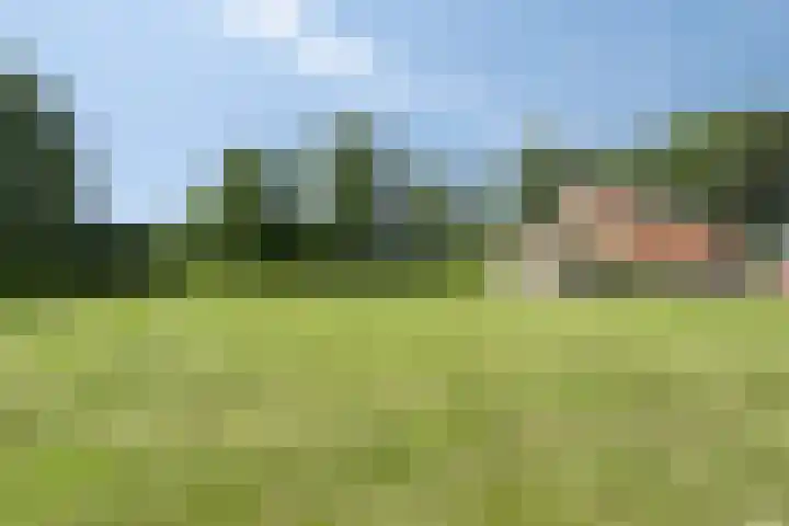 Streek 75 Sintjohannesga thumbnail 46