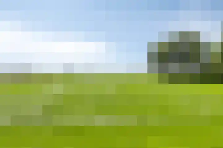 Streek 75 Sintjohannesga thumbnail 48