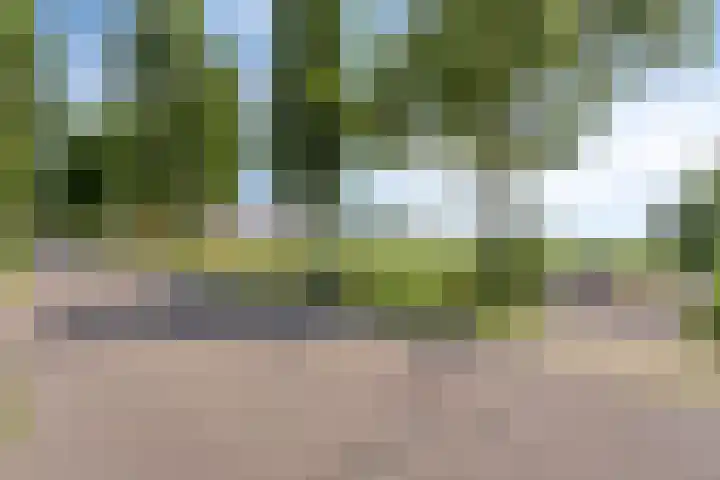 Streek 75 Sintjohannesga thumbnail 5