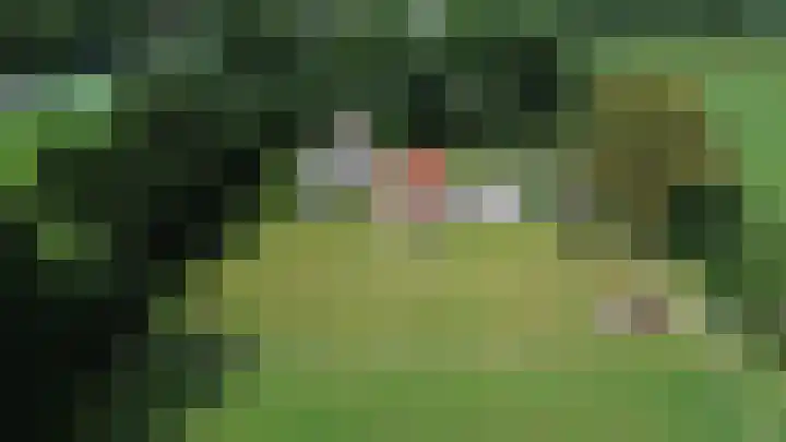 Streek 75 Sintjohannesga thumbnail 50