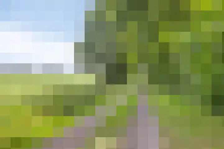 Streek 75 Sintjohannesga thumbnail 6