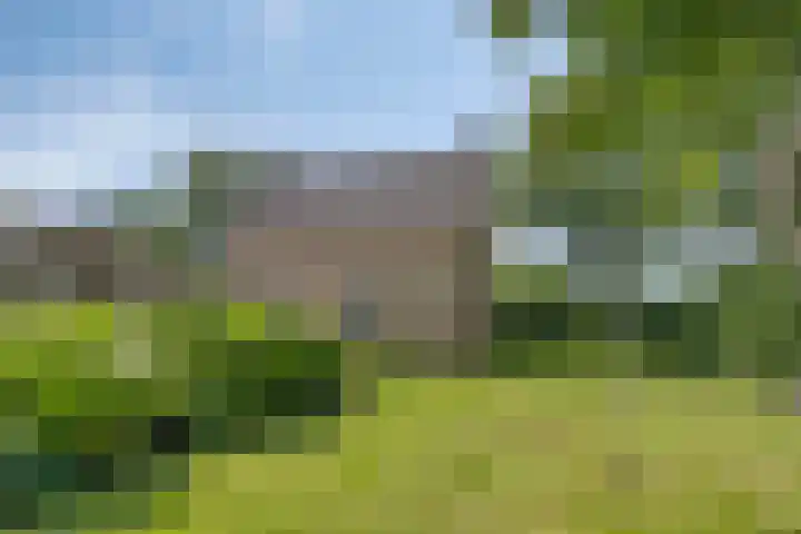 Streek 75 Sintjohannesga thumbnail 8