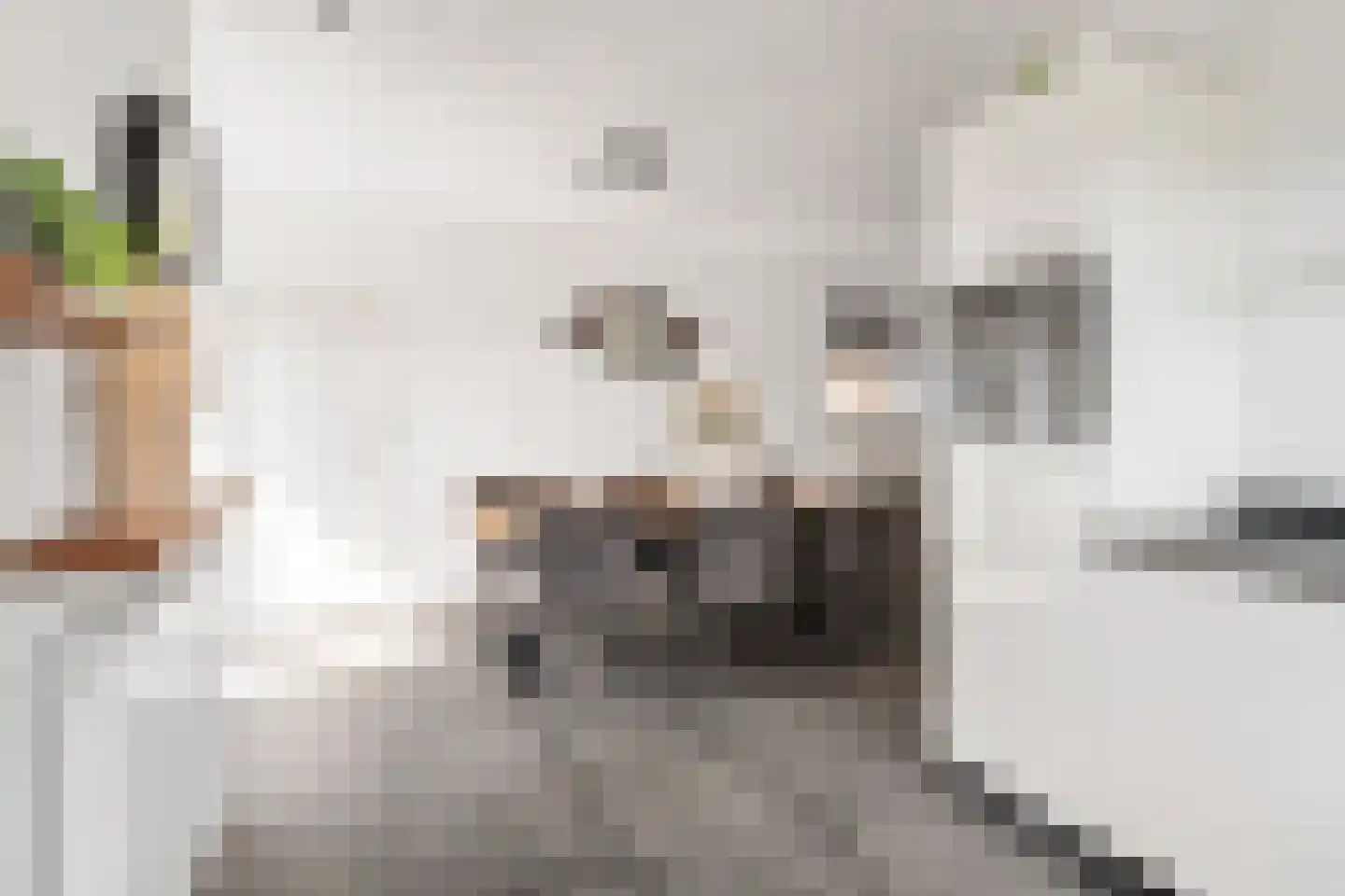 Streek 77 Sintjohannesga thumbnail 12