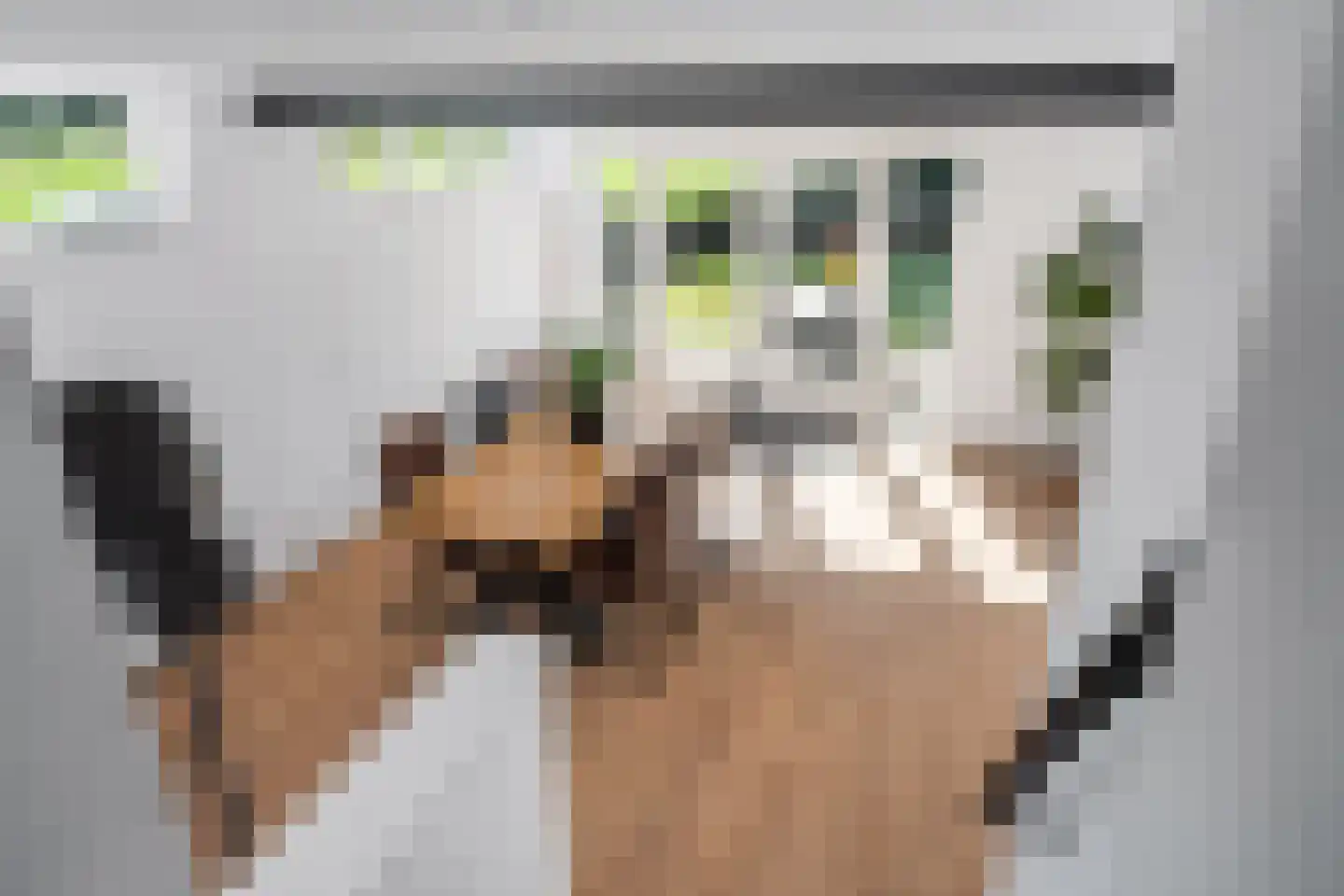 Streek 77 Sintjohannesga thumbnail 19