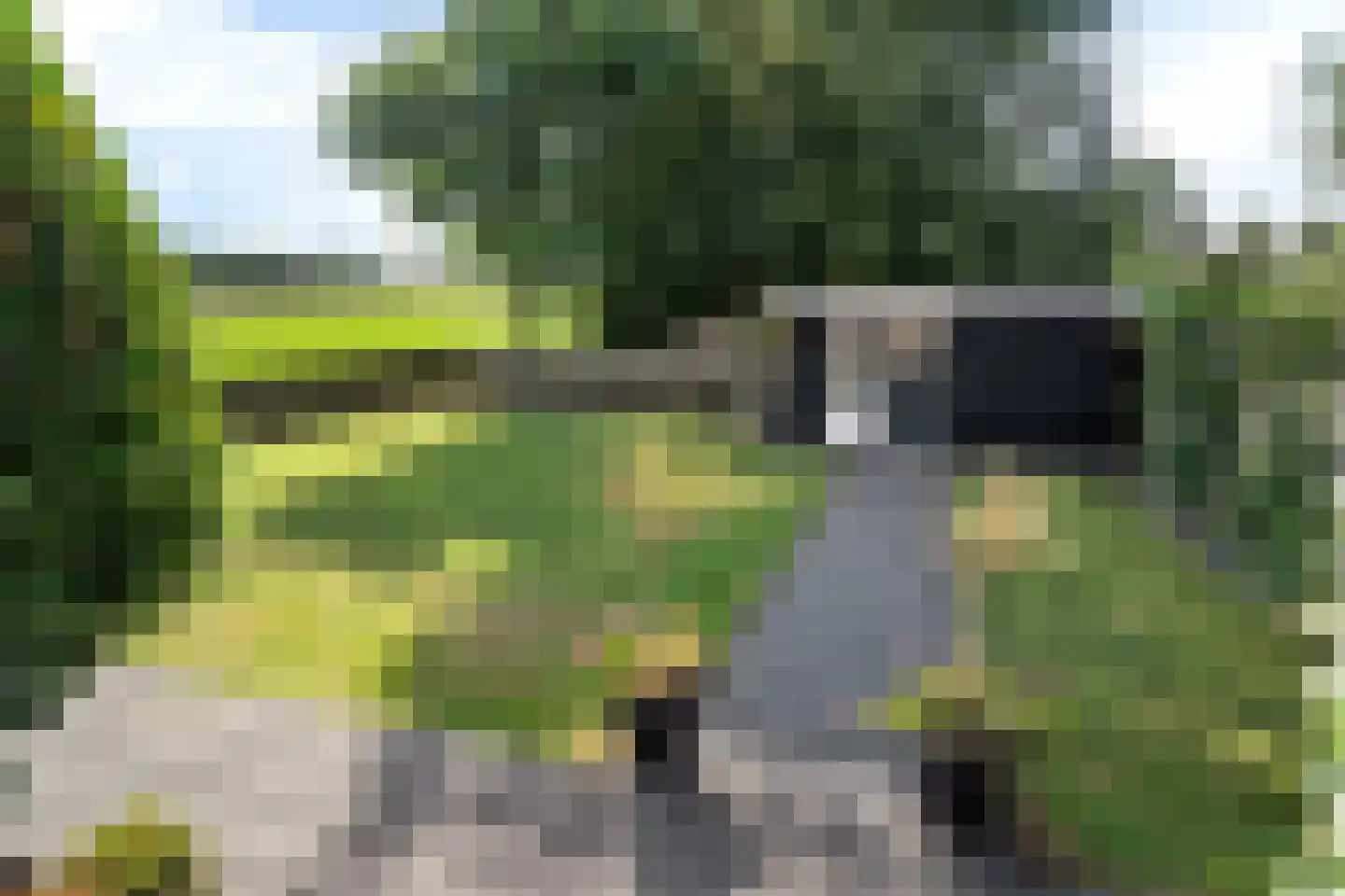 Streek 77 Sintjohannesga thumbnail 24