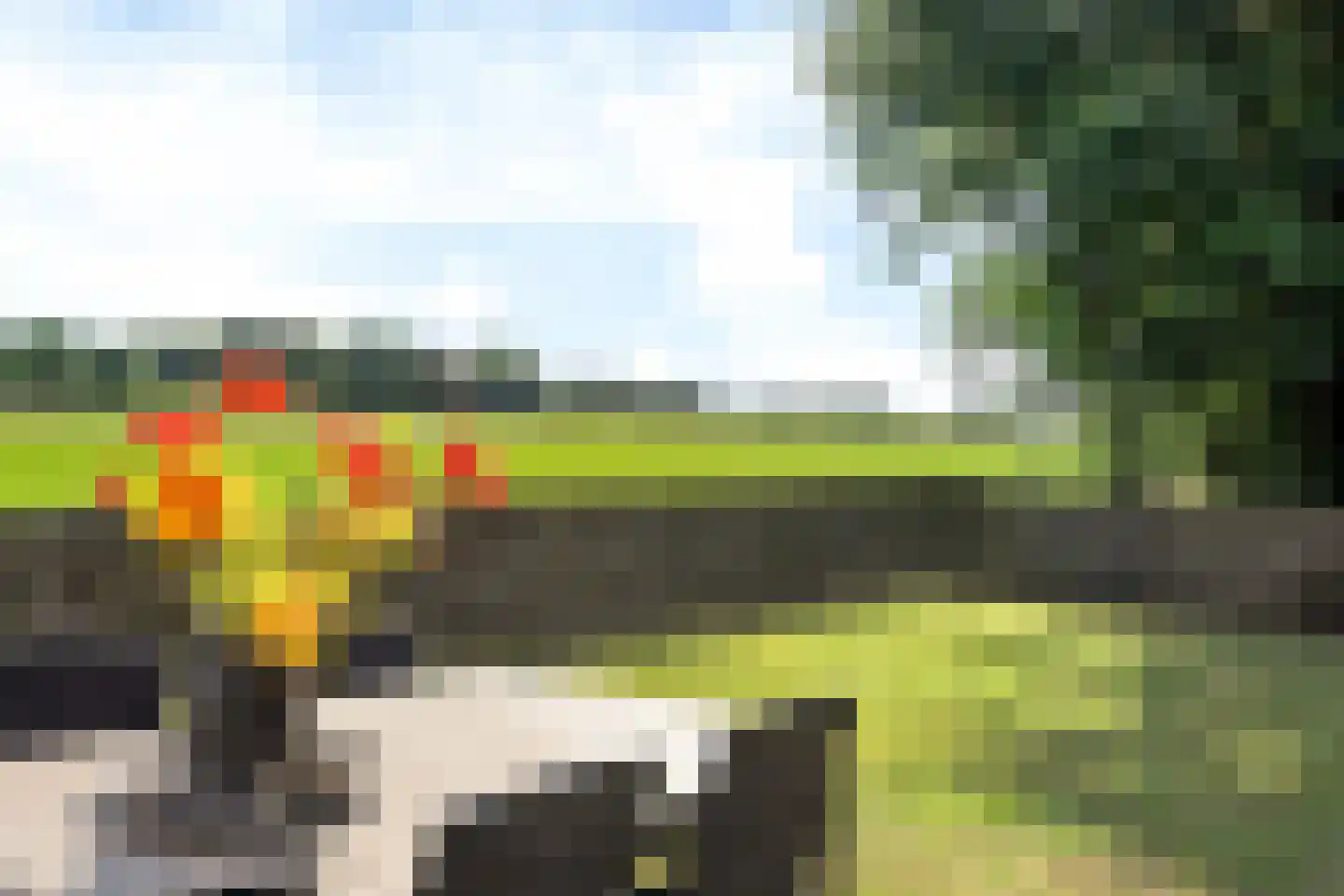 Streek 77 Sintjohannesga thumbnail 26