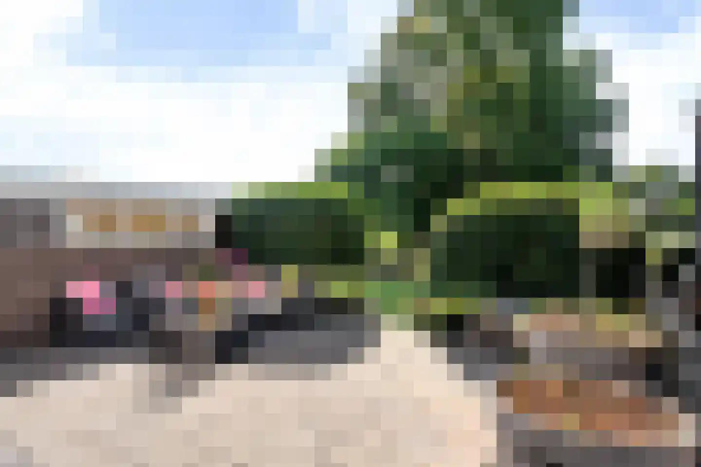 Streek 77 Sintjohannesga thumbnail 27