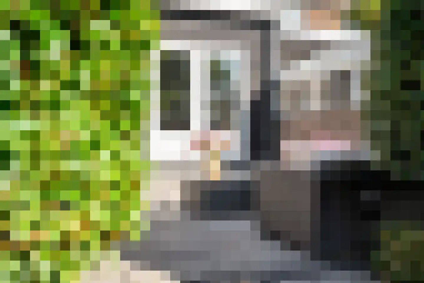 Streek 77 Sintjohannesga thumbnail 29