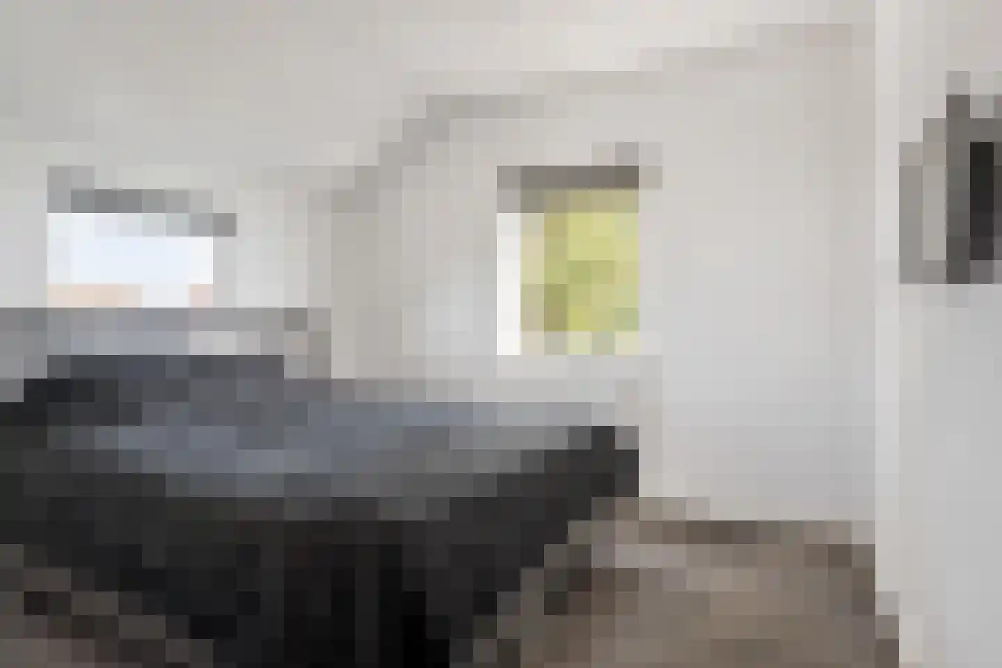 Streek 77 Sintjohannesga thumbnail 34