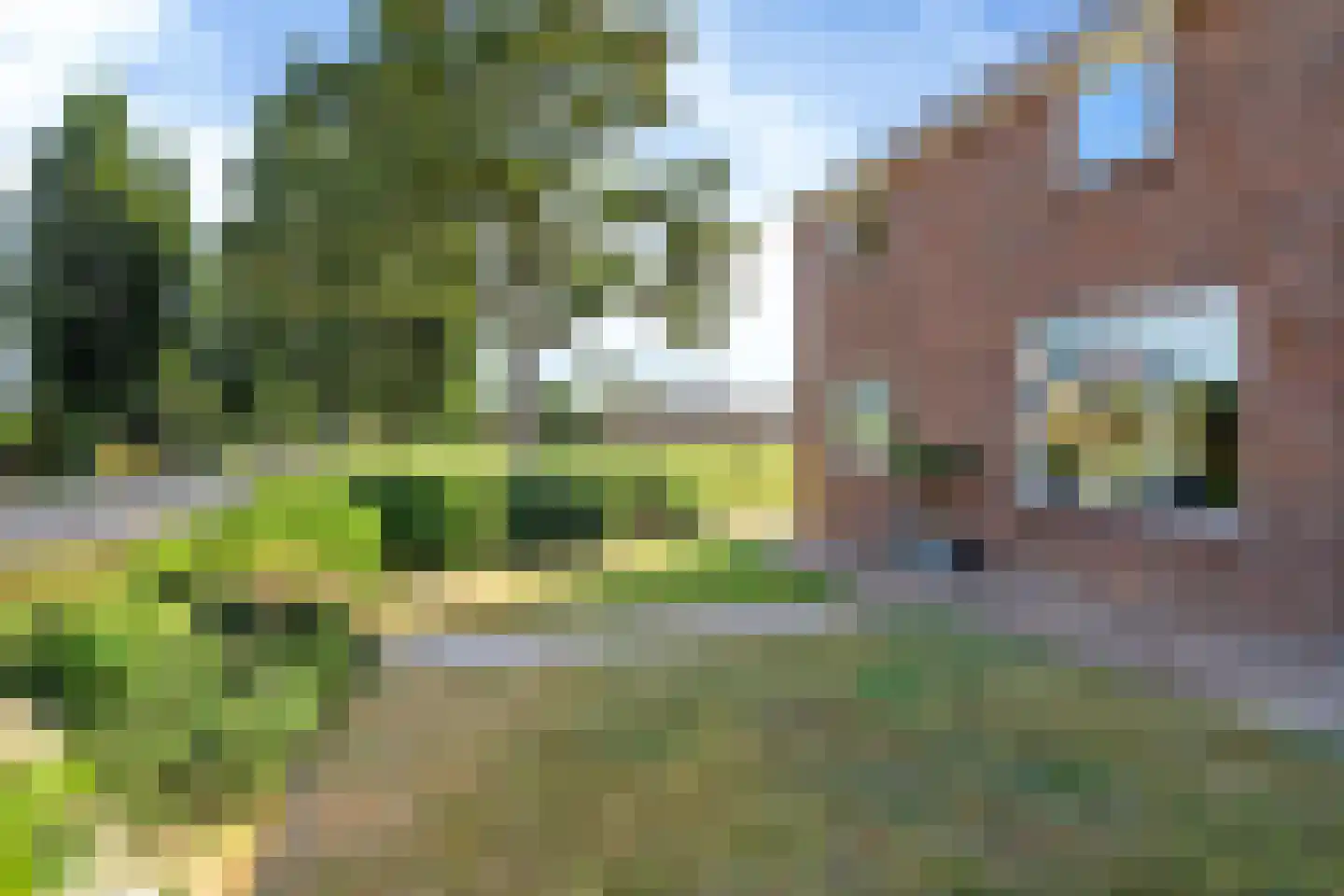 Streek 77 Sintjohannesga thumbnail 52