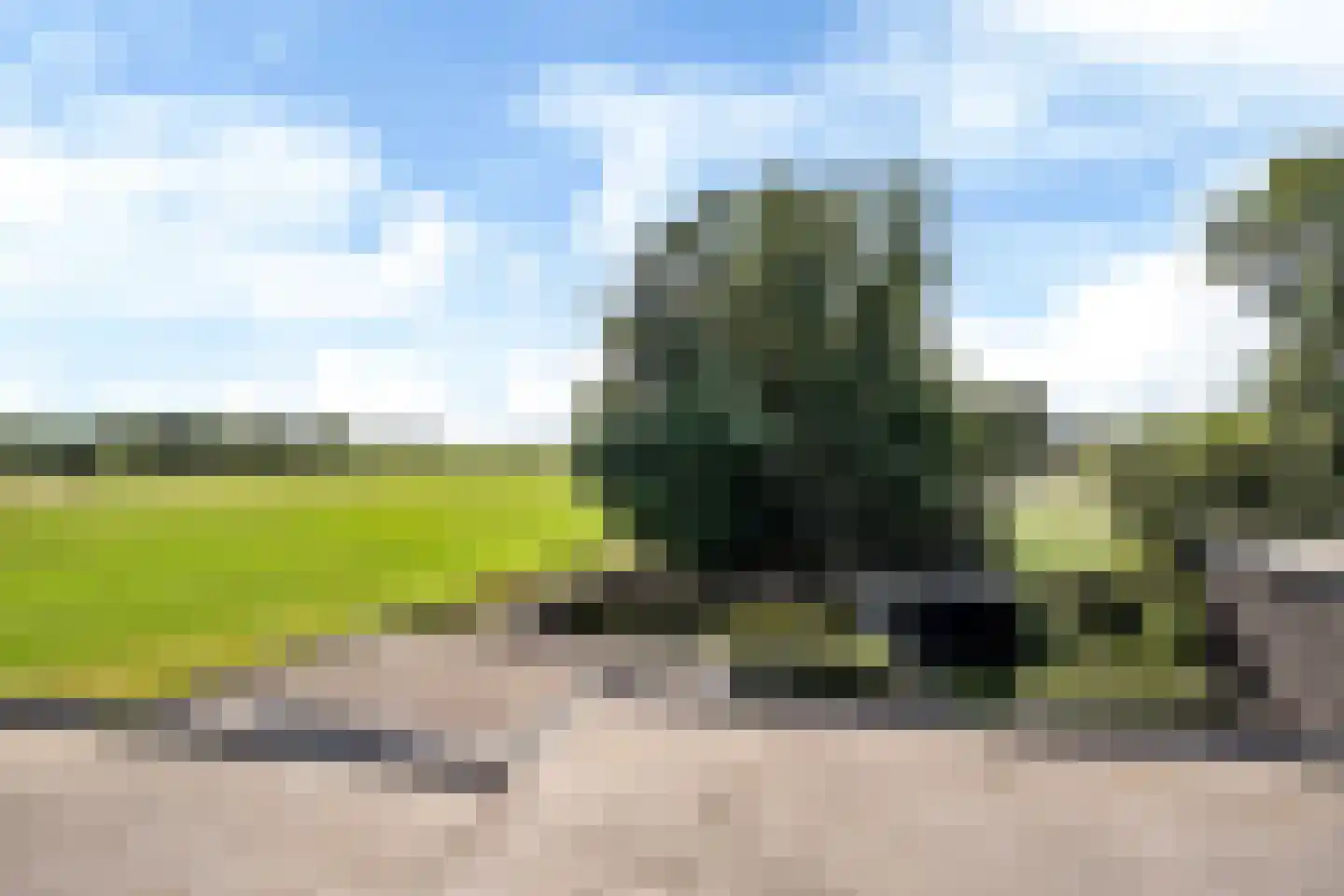 Streek 77 Sintjohannesga thumbnail 56
