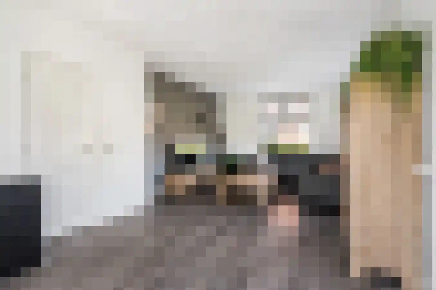 Streek 77 Sintjohannesga thumbnail 6