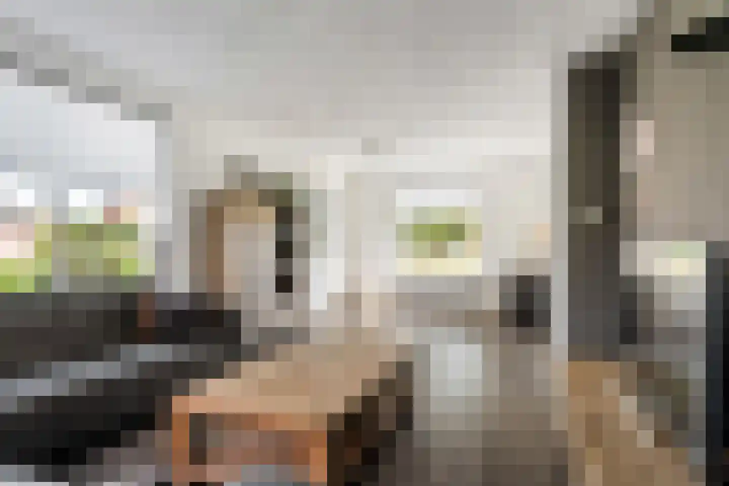 Streek 77 Sintjohannesga thumbnail 7