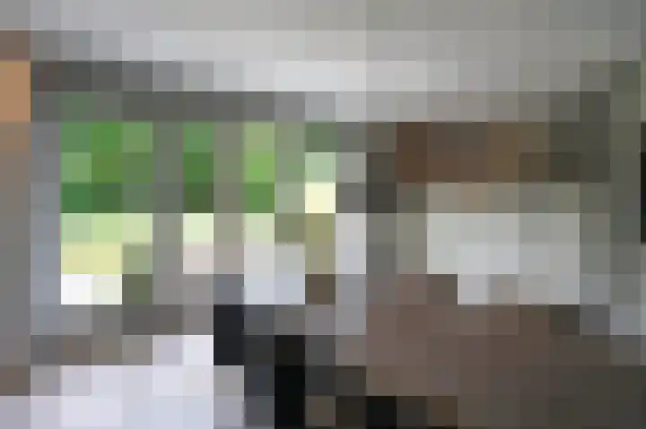 Streekbos 1 Almere thumbnail 17