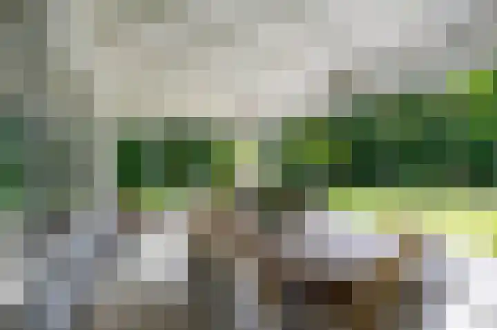 Streekbos 1 Almere thumbnail 20