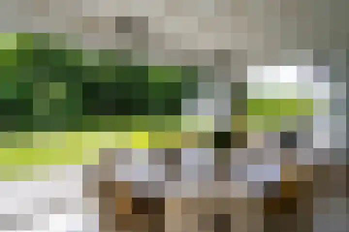 Streekbos 1 Almere thumbnail 21