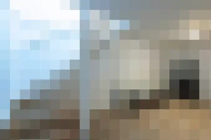 Streekbos 1 Almere thumbnail 28