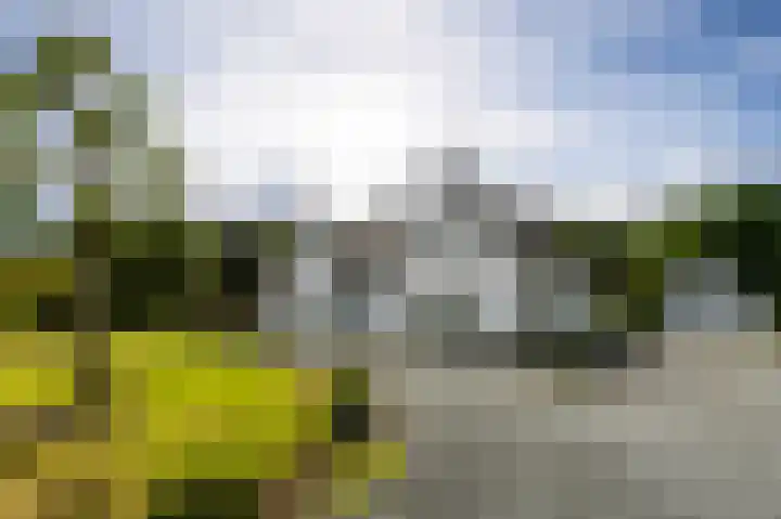 Streekbos 1 Almere thumbnail 4