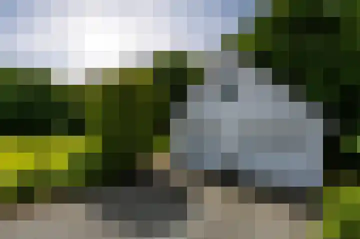 Streekbos 1 Almere thumbnail 49