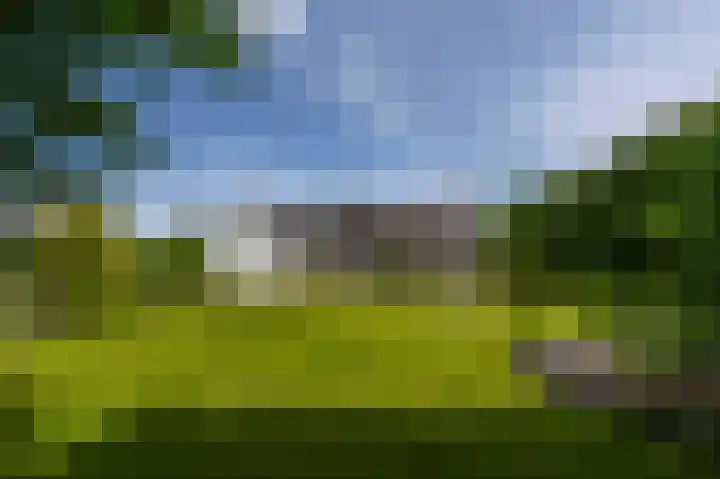 Streekbos 1 Almere thumbnail 54
