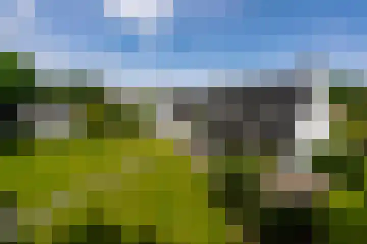 Streekbos 1 Almere thumbnail 55