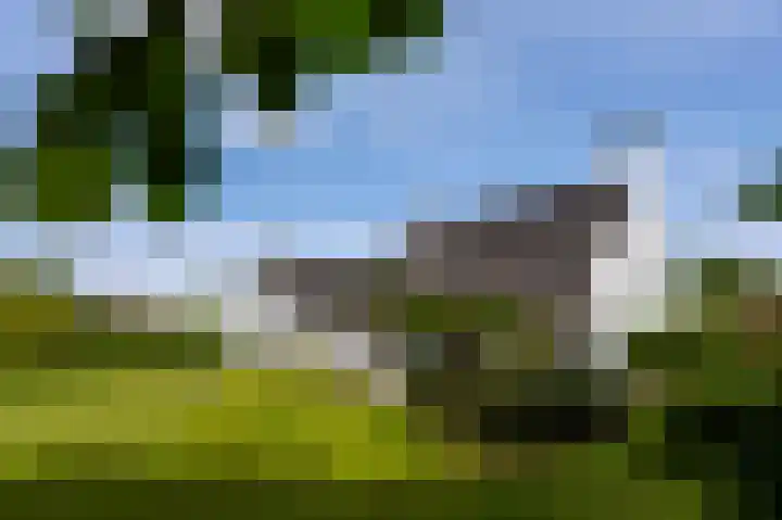 Streekbos 1 Almere thumbnail 56