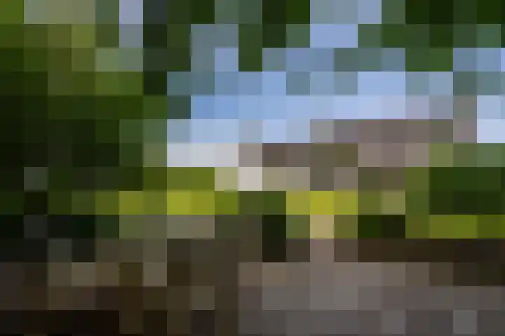 Streekbos 1 Almere thumbnail 57