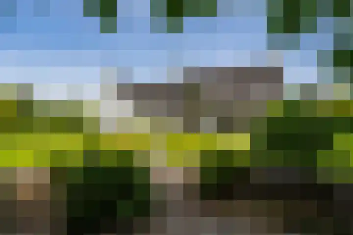 Streekbos 1 Almere thumbnail 58