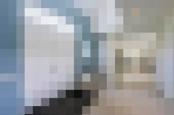 Streekbos 1 Almere thumbnail 6