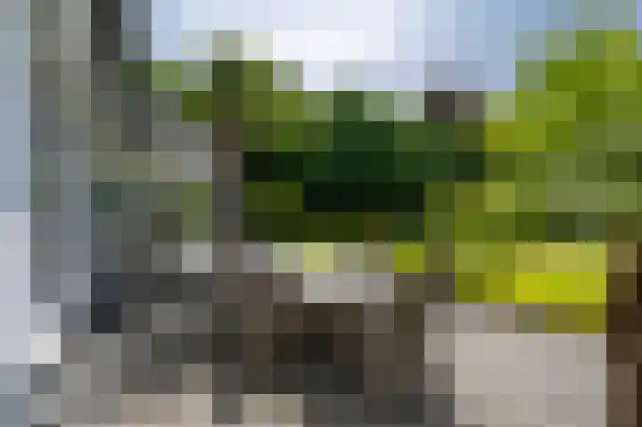 Streekbos 1 Almere thumbnail 60