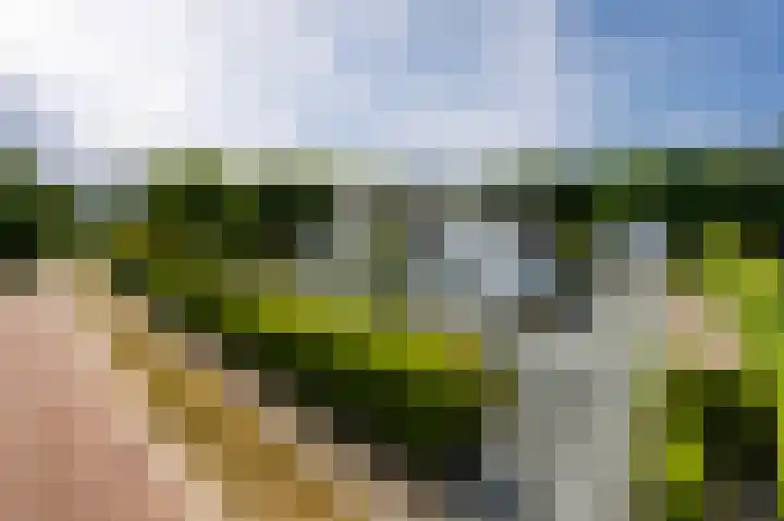 Streekbos 1 Almere thumbnail 61