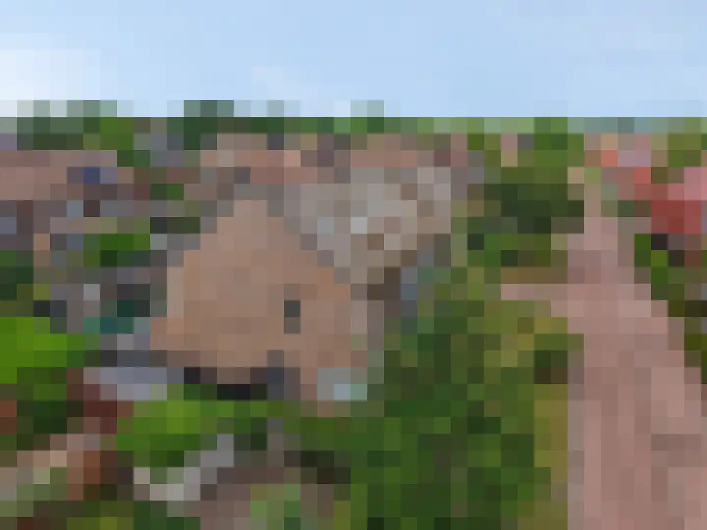 Streeksel 1 Hooglanderveen thumbnail 10