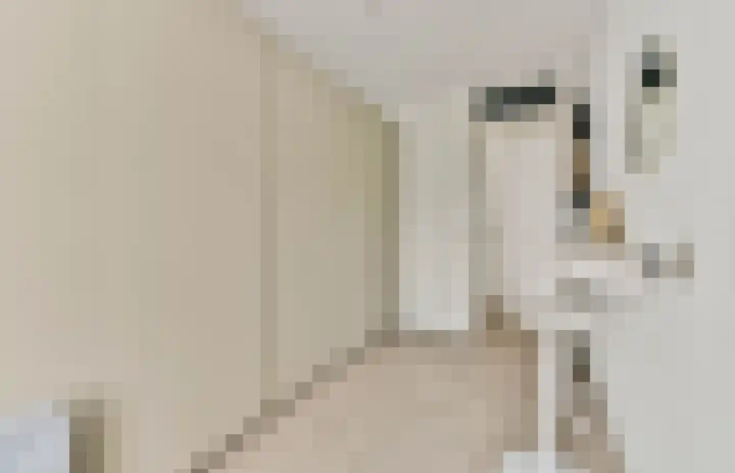 Streeksel 1 Hooglanderveen thumbnail 33