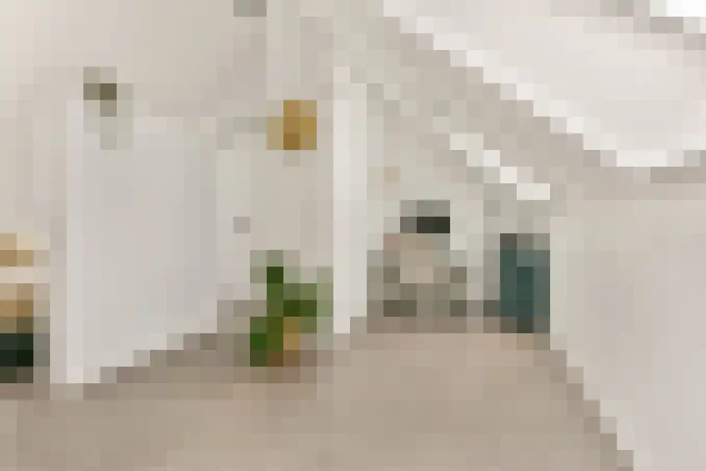 Streeksel 1 Hooglanderveen thumbnail 35