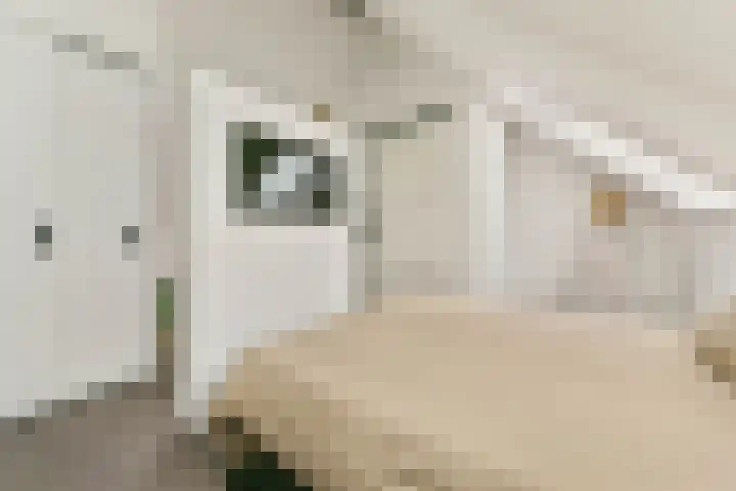Streeksel 1 Hooglanderveen thumbnail 37