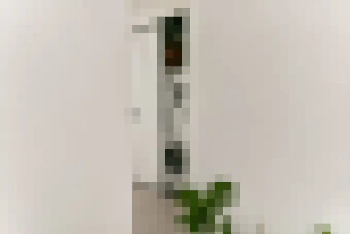 Streeksel 1 Hooglanderveen thumbnail 38