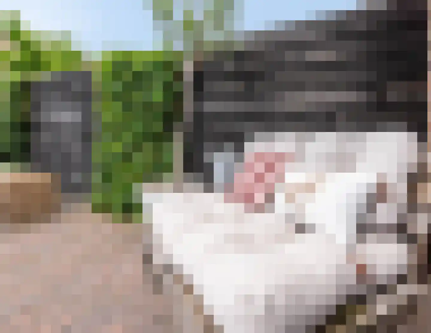 Streeksel 1 Hooglanderveen thumbnail 39