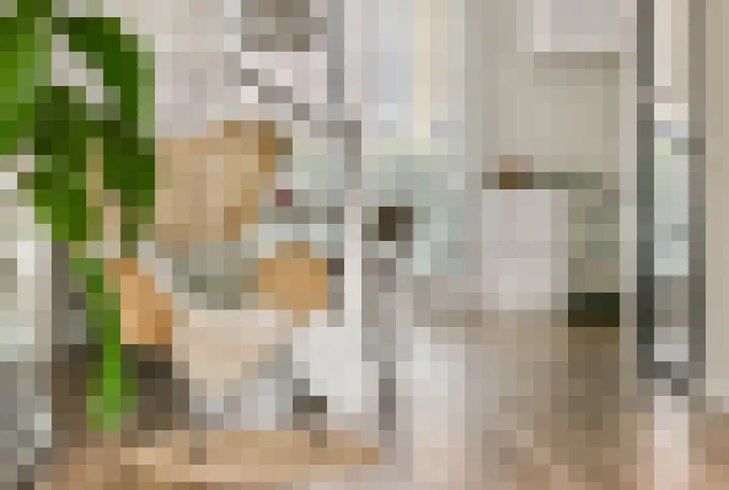 Streeksel 1 Hooglanderveen thumbnail 4