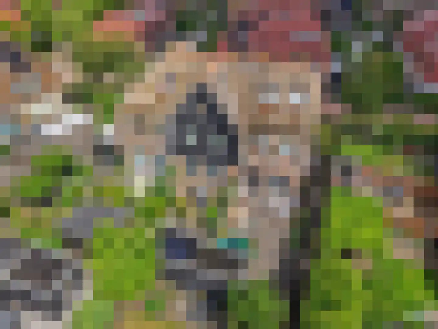 Streeksel 1 Hooglanderveen thumbnail 42