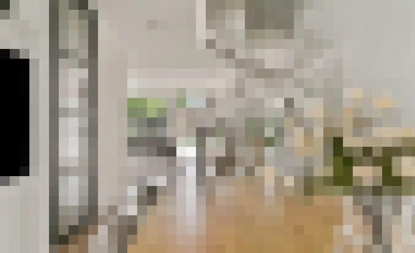Streeksel 1 Hooglanderveen thumbnail 7