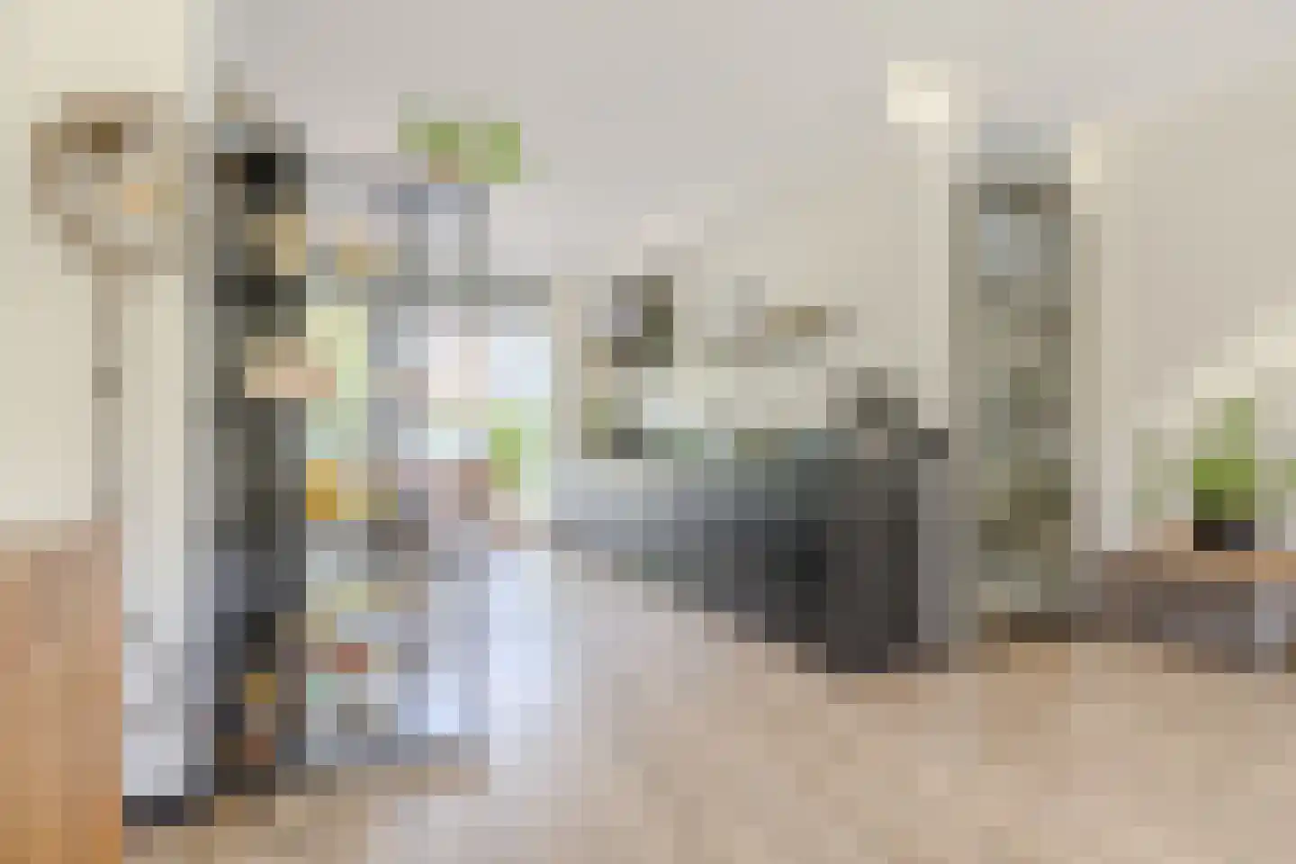 Streeksel 14 Hooglanderveen thumbnail 10