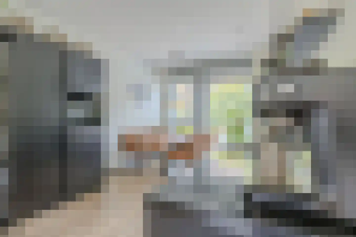 Streeksel 14 Hooglanderveen thumbnail 11