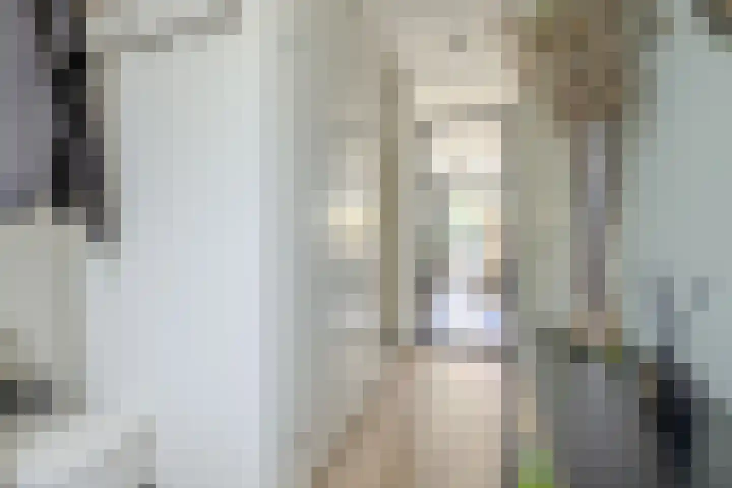 Streeksel 14 Hooglanderveen thumbnail 15
