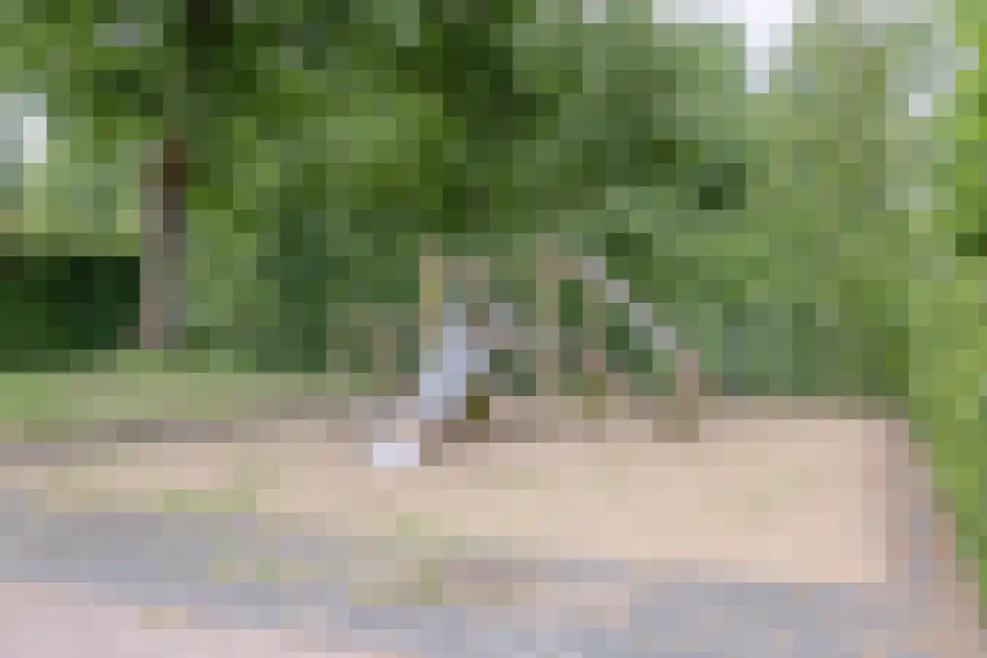 Streeksel 14 Hooglanderveen thumbnail 38