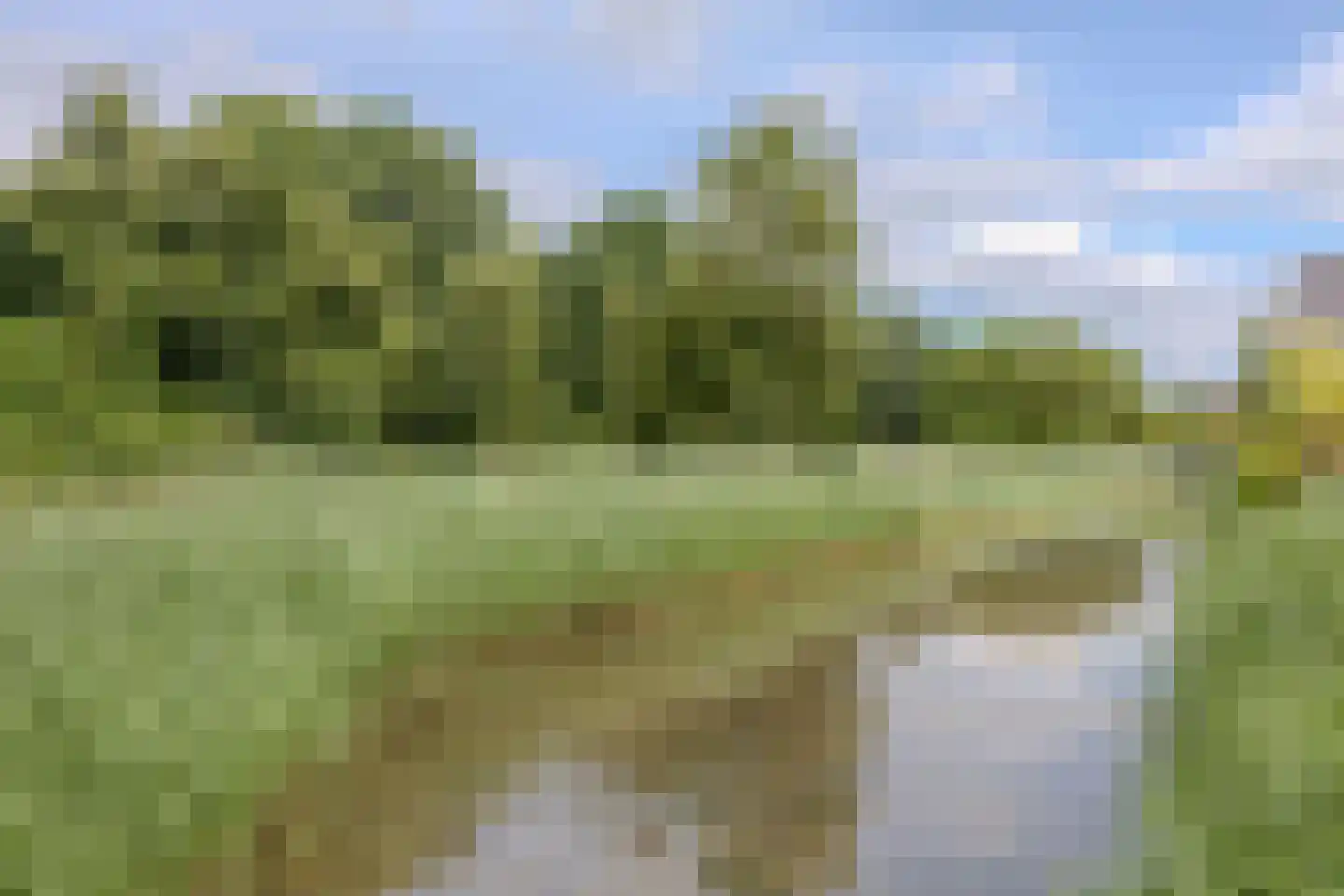 Streeksel 14 Hooglanderveen thumbnail 39