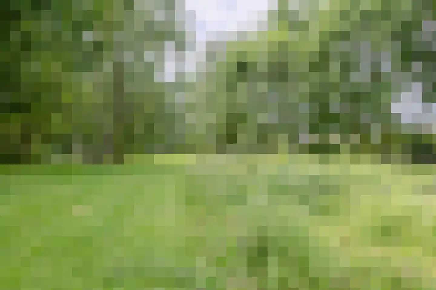 Streeksel 14 Hooglanderveen thumbnail 40