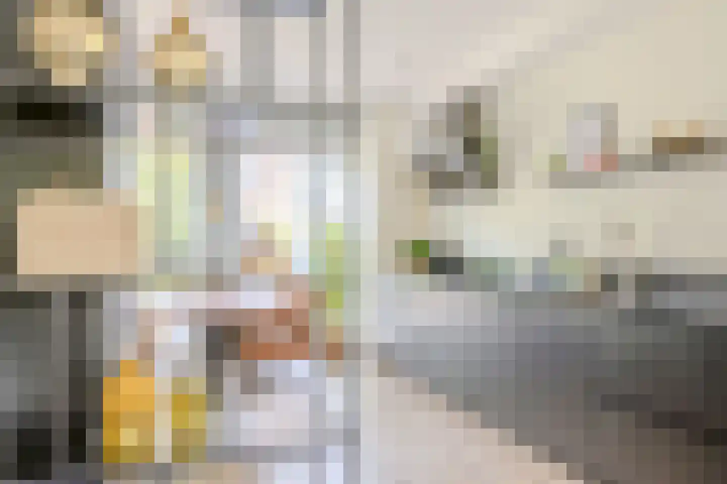 Streeksel 14 Hooglanderveen thumbnail 5