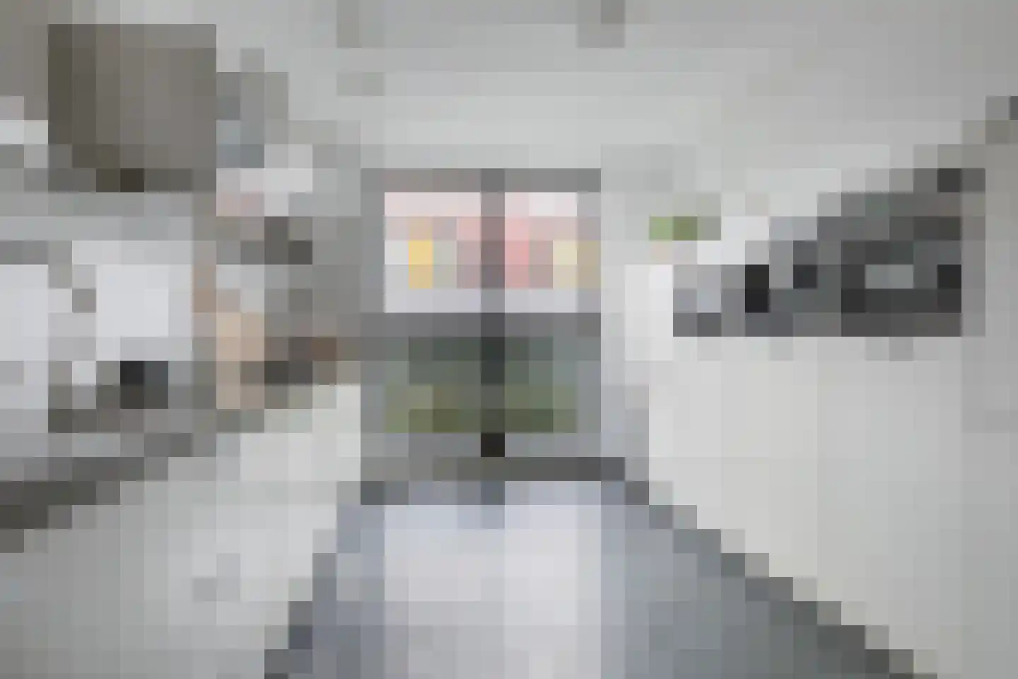 Streeksel 3 Hooglanderveen thumbnail 12